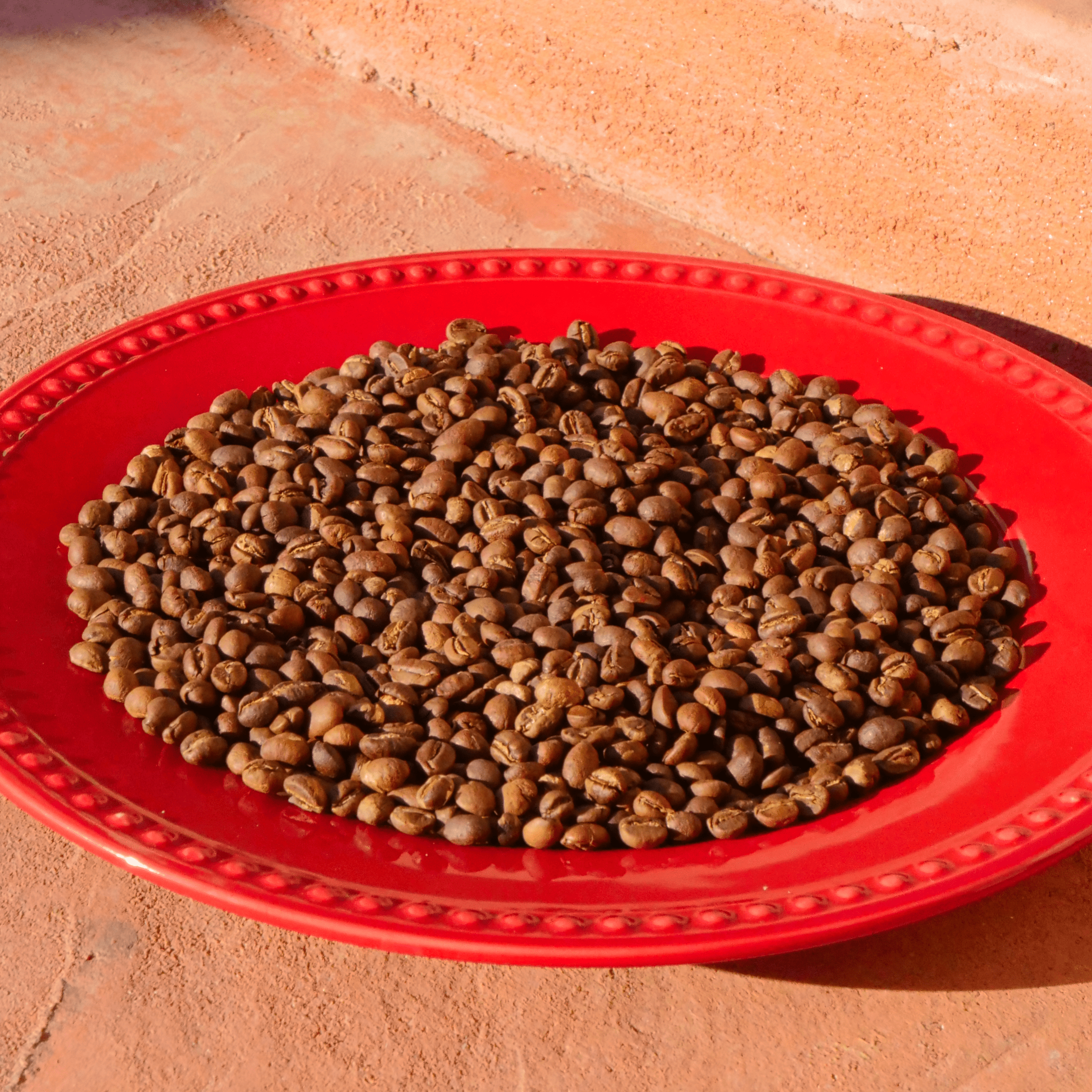 Jamaica Blue Mountain Peaberry | Cool Beans Coffee Beans